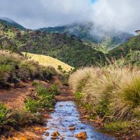 LSL_B2_A-solo-traveller_s-guide-to-exploring-horton-plains_800x1000.jpg